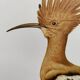 Bird board from the 60s - Hoopoe - Vintage zoological and ornithological illustration