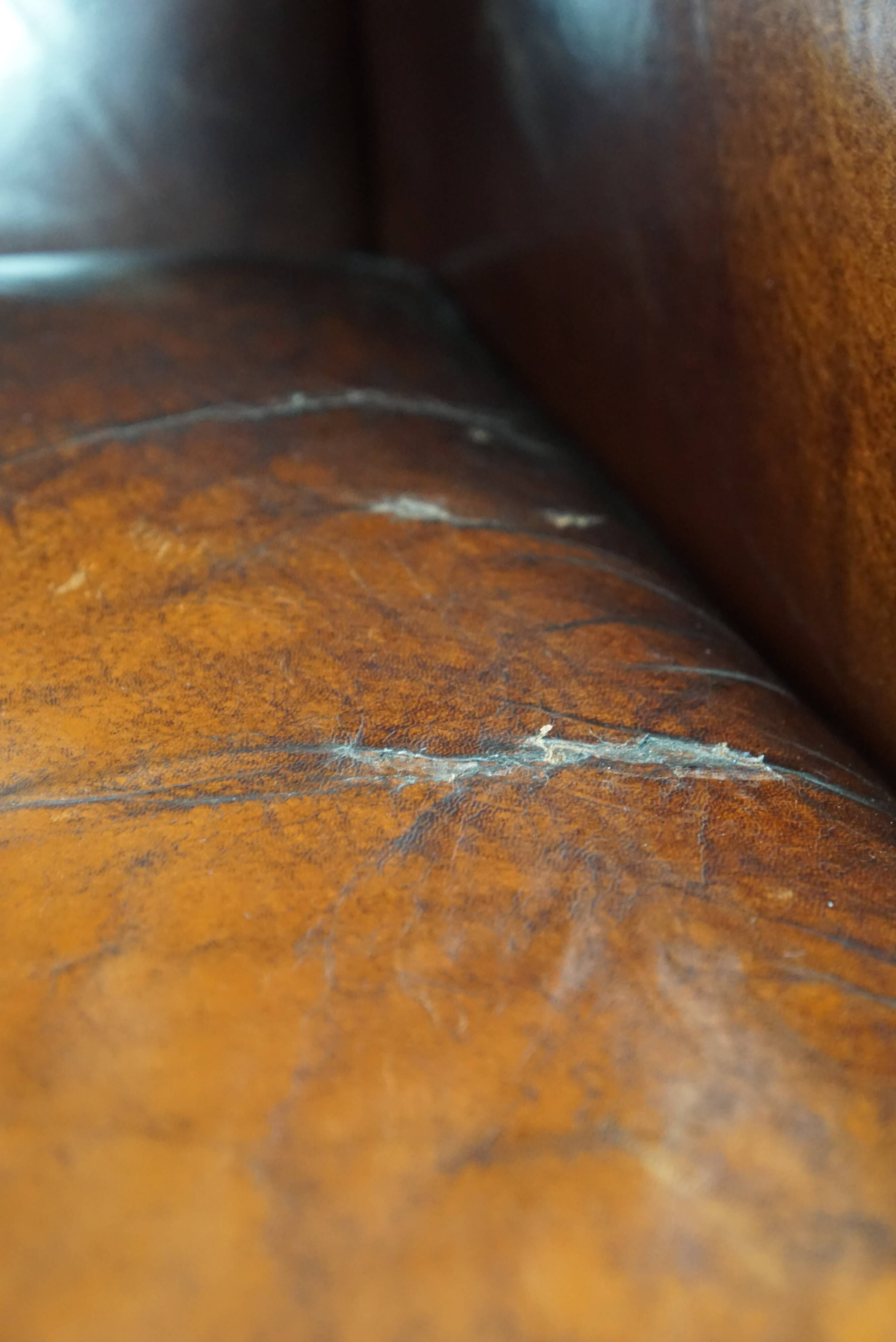 Luxurious large sheep leather wingback armchair with beautiful colors and amazing patina