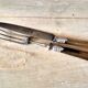Pair of cutlery to cut
