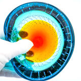 Murano pocket bowl "Sommerso Bullicante" – Galliano Ferro