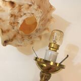 Cassis Cornuta shell lamp on a bronze base - Shell nightlight