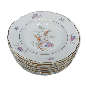 12 assiettes creuses Badonviller KG Lunéville - Oiseaux