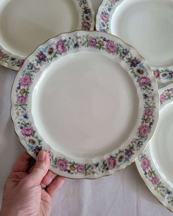 Limoges Bernardaud 5 Assiettes Plates en porcelaine