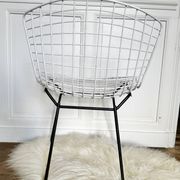 Vintage Bertoia chair