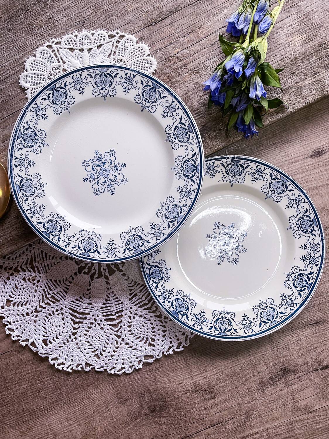 Assiettes terre de fer - modèle régence