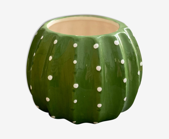 Pot cactus