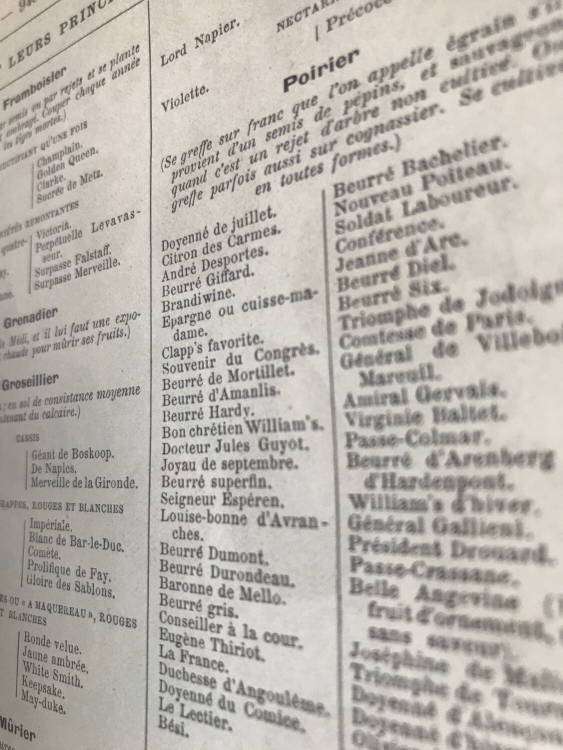 Original vintage fruit board