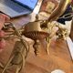Golden bronze lustre with musical cherubs in vintage Louis XV style - lighting