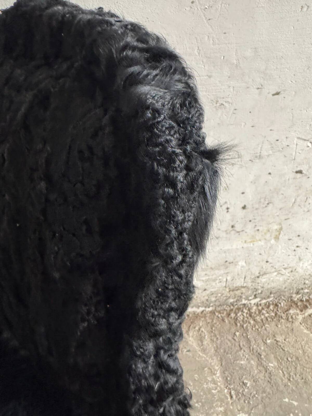 Set of 2 Black Feather-Textured Upholstered Theatrical Armchairs — Wood Frame, Dramatic Baroque Revival Style