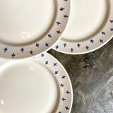 5 dessert plates in white and blue earthenware