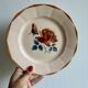 Set of 7 vintage flat plates from Digoin Sarreguemines.