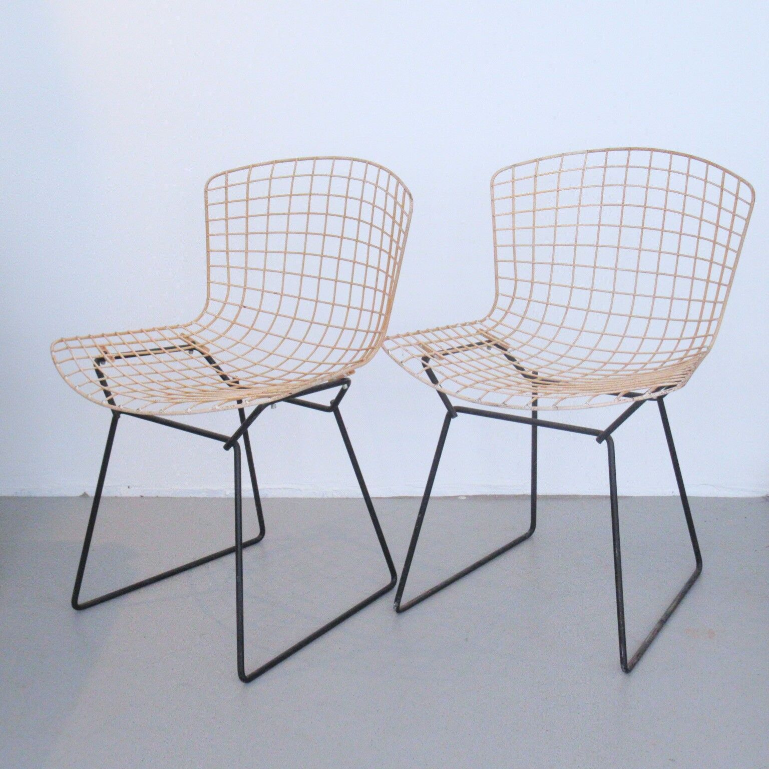 Pair of chairs Harry Bertoia Knoll International