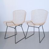 Pair of chairs Harry Bertoia Knoll International
