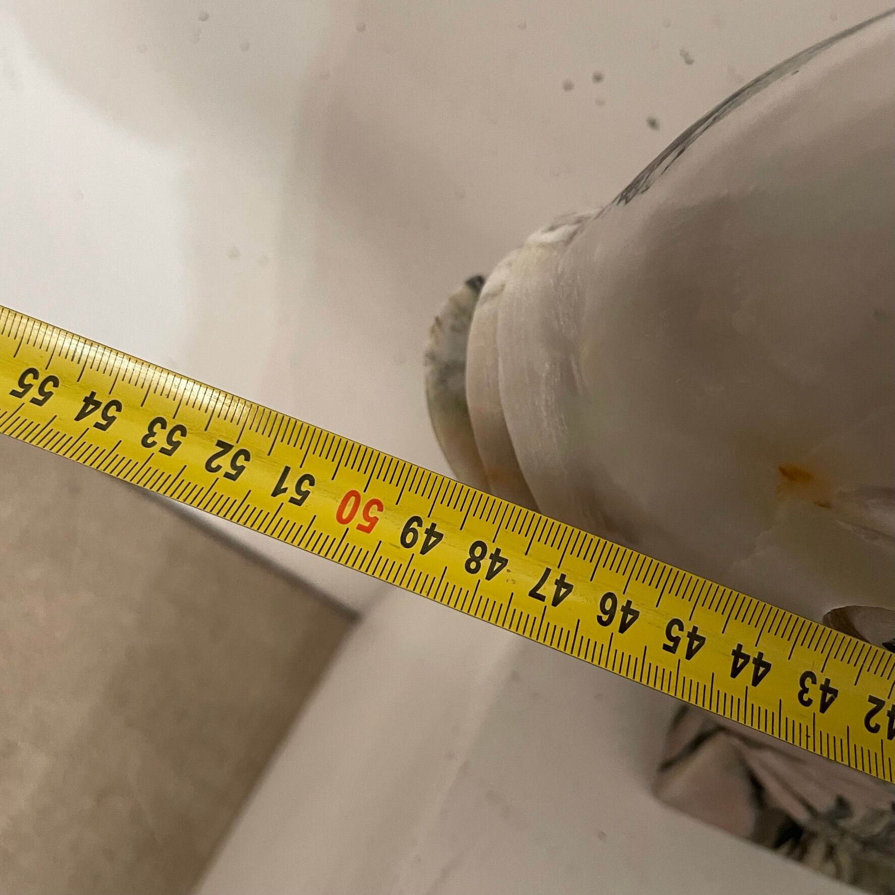 Pink marble fish 1980