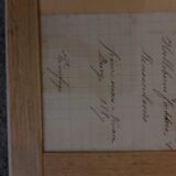 19th herbarium plank