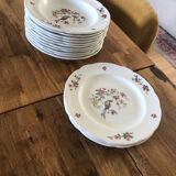 Old Art Nouveau porcelain plates Pyroblan