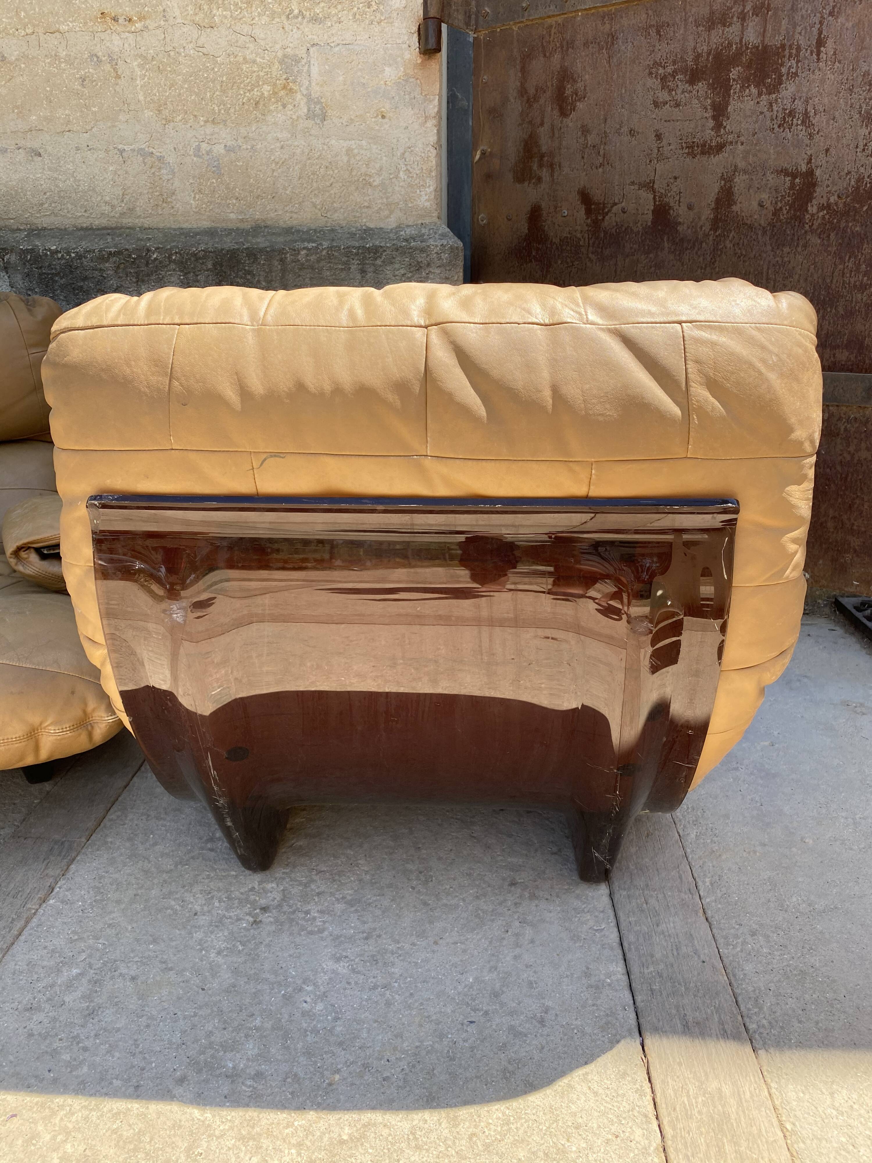 Pair of armchairs Marsala by Michel Ducaroy for Ligne Roset