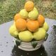 Vintage ceramic barbotine citrus fruit centrepiece