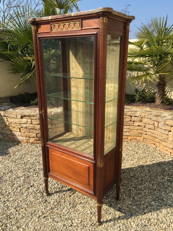 Mahogany Showcase - Bronze Golden Style Louis XVI