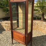Mahogany Showcase - Bronze Golden Style Louis XVI