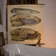 Poster vintage from the beginning of the 20th century Pfurtscheller Zoological graphic wall molds of painters