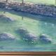 Vintage Original Oil On Canvas Painting Rural Landscape  1995