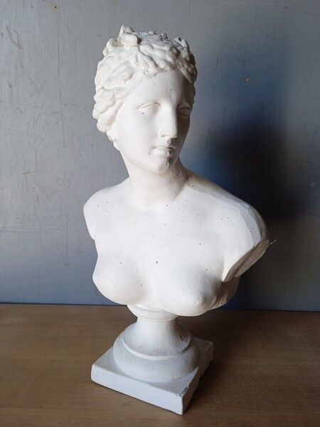 Large flat bust of Venus