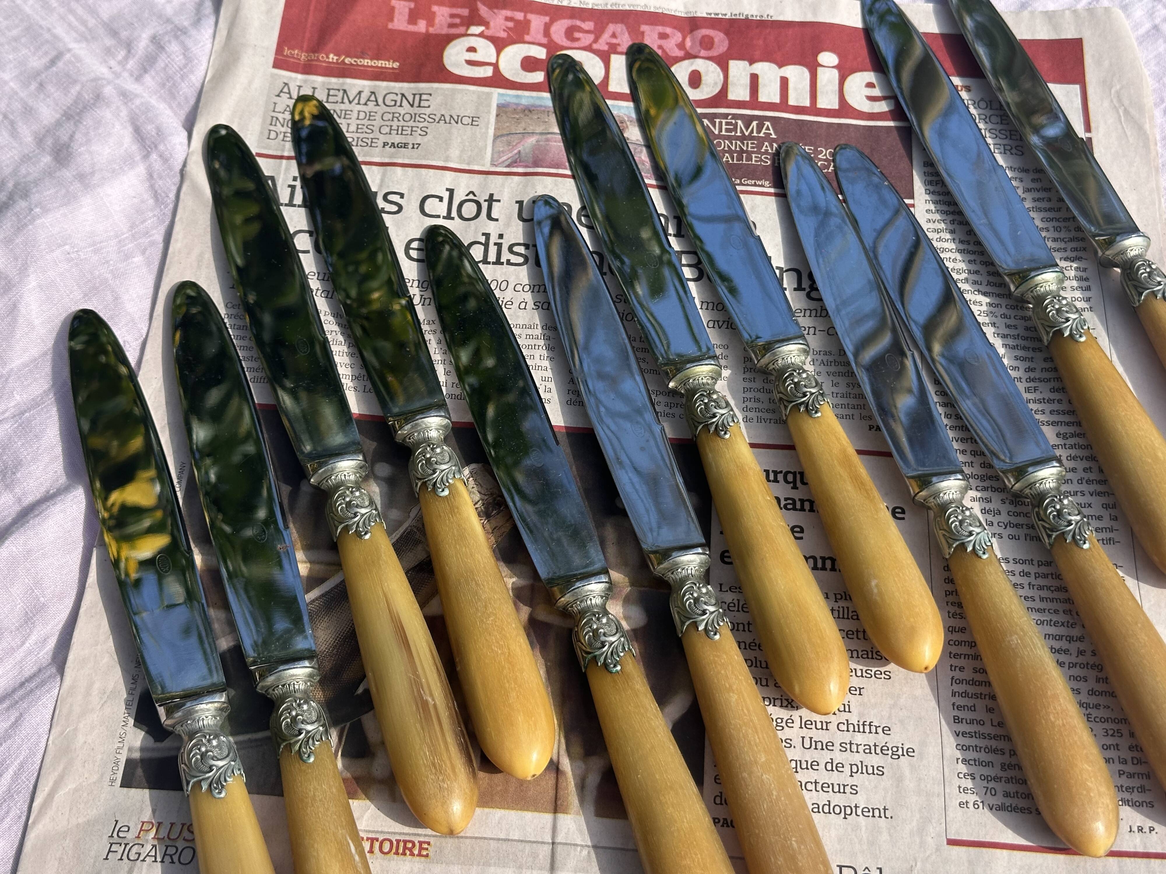 Set of 12 Antique Art Nouveau Table Knives - Tableware