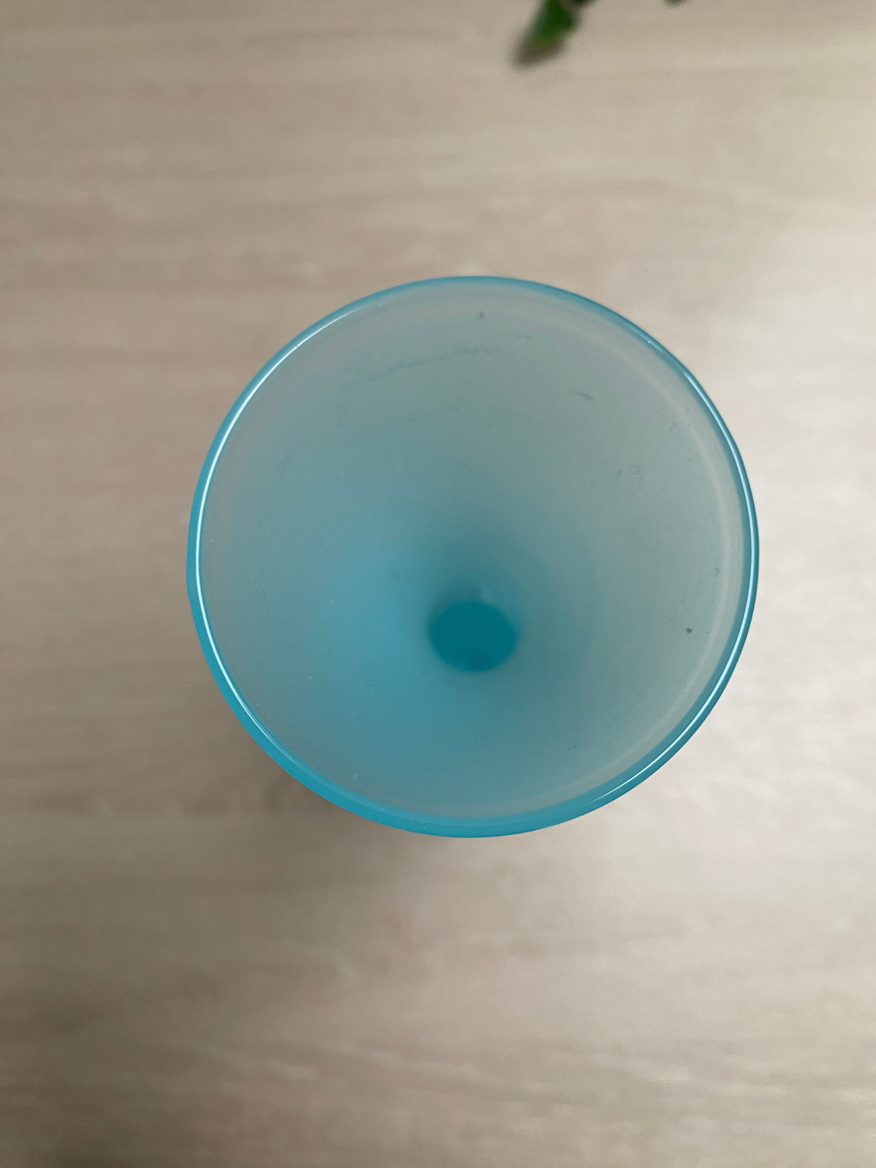 Blue opaline glass soliflore vase