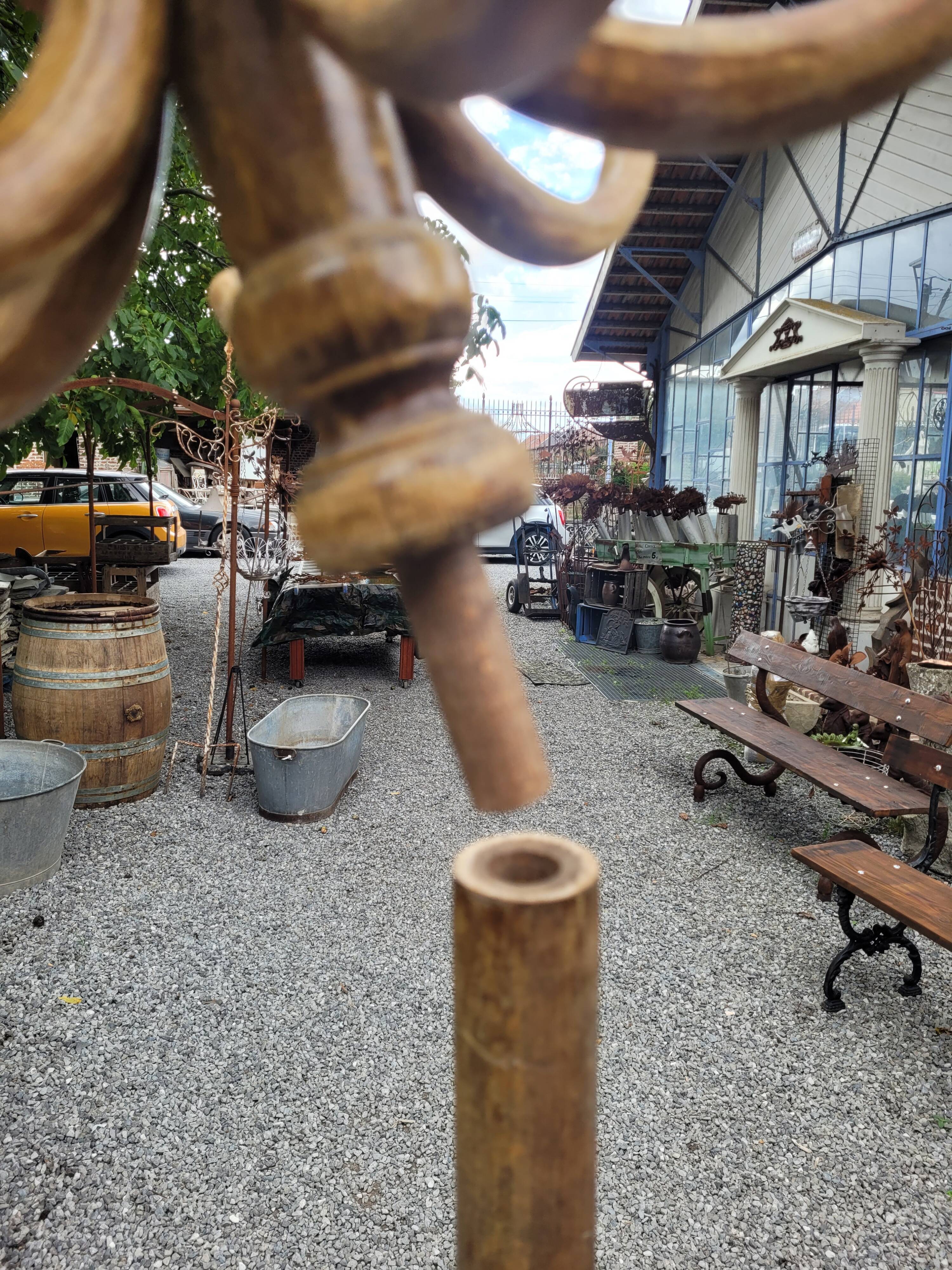 Old parrot in curved wood