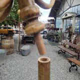 Perroquet ancien en bois courbé