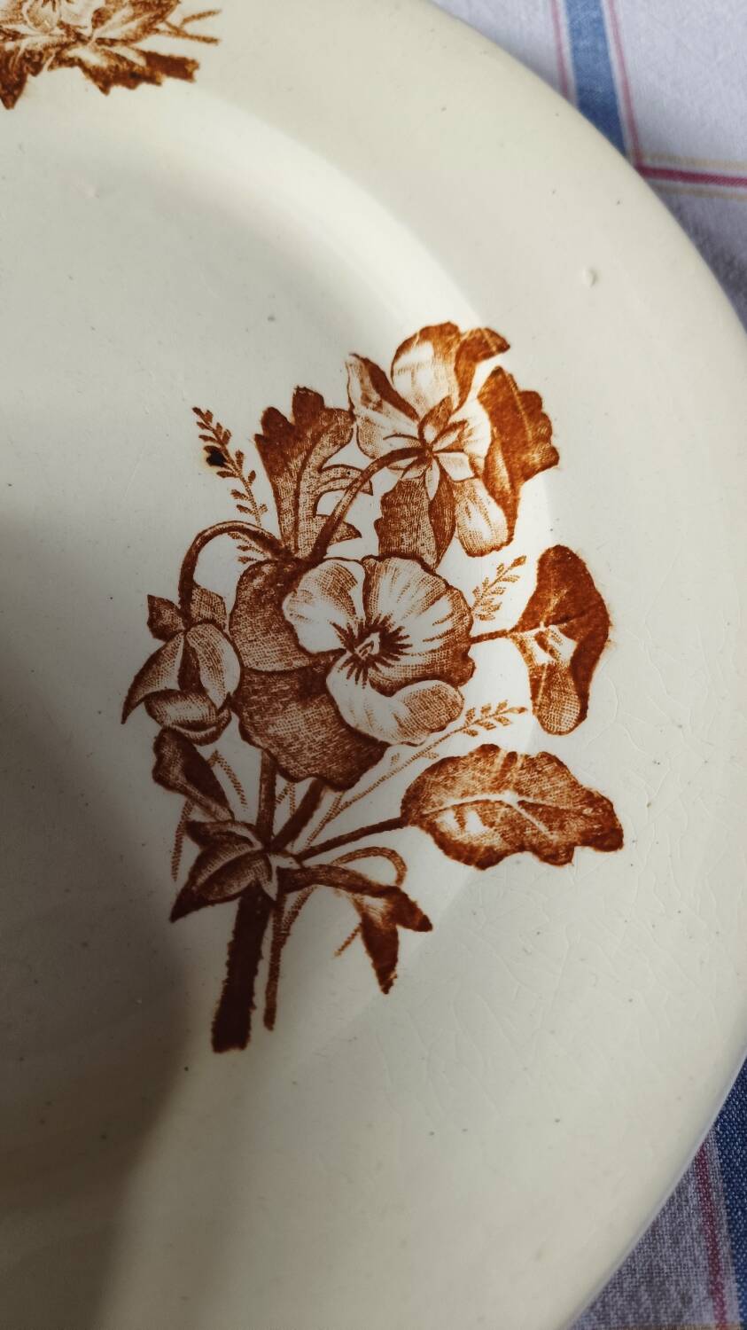 Salins ironware flat plates