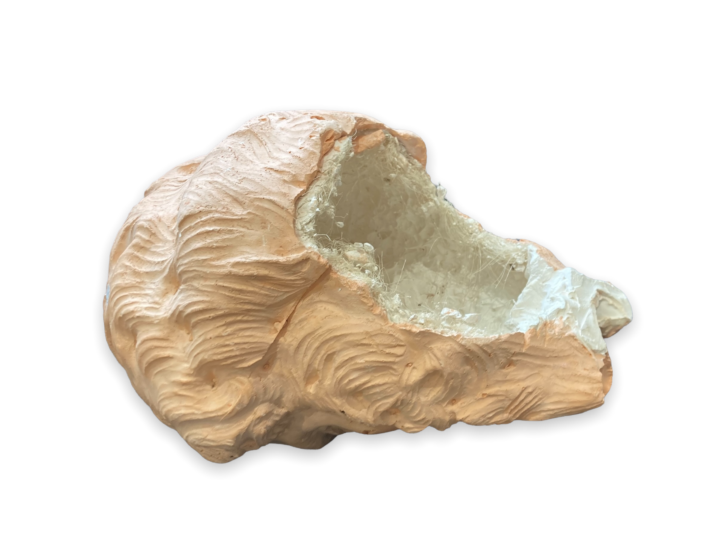 Antique style plaster head