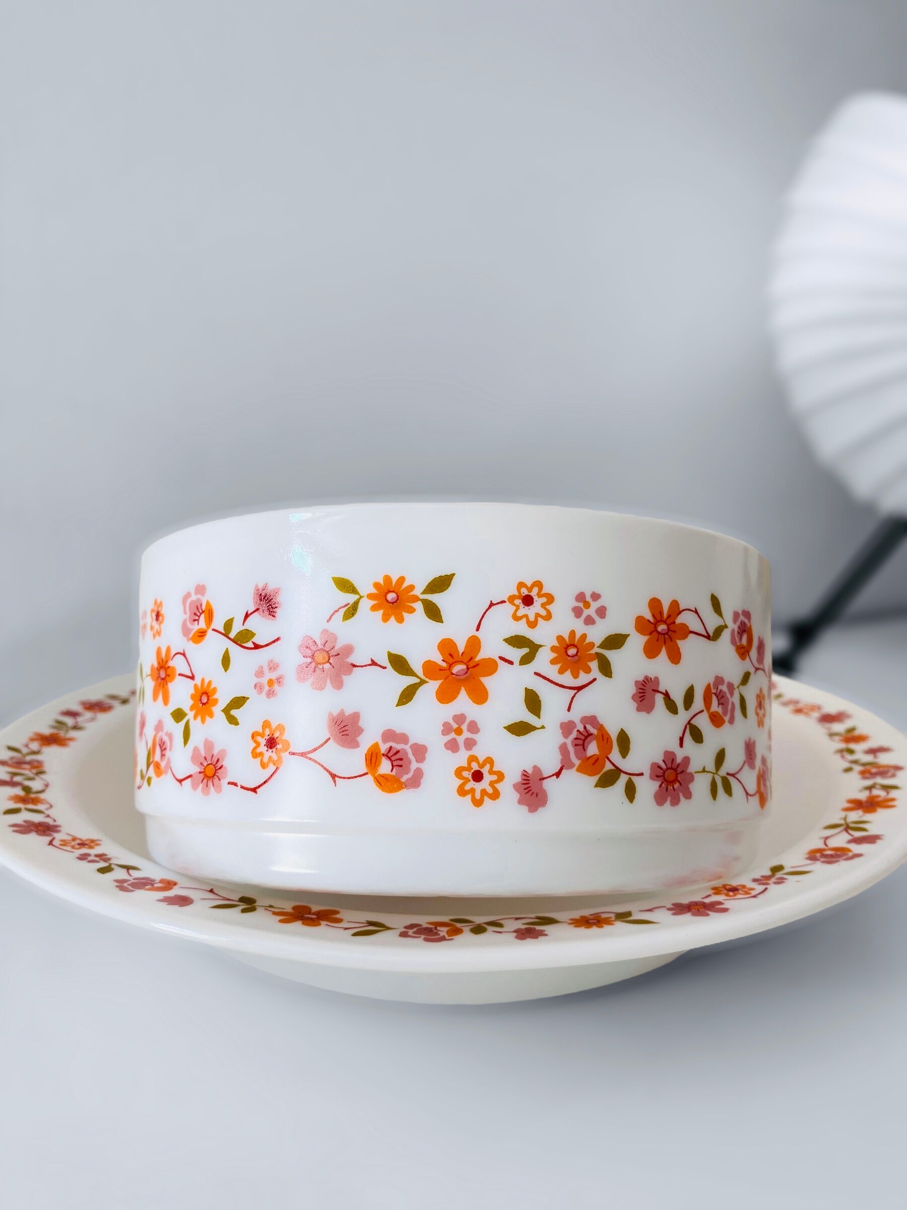 Arcopal scania dish and salad bowl