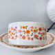 Arcopal scania dish and salad bowl