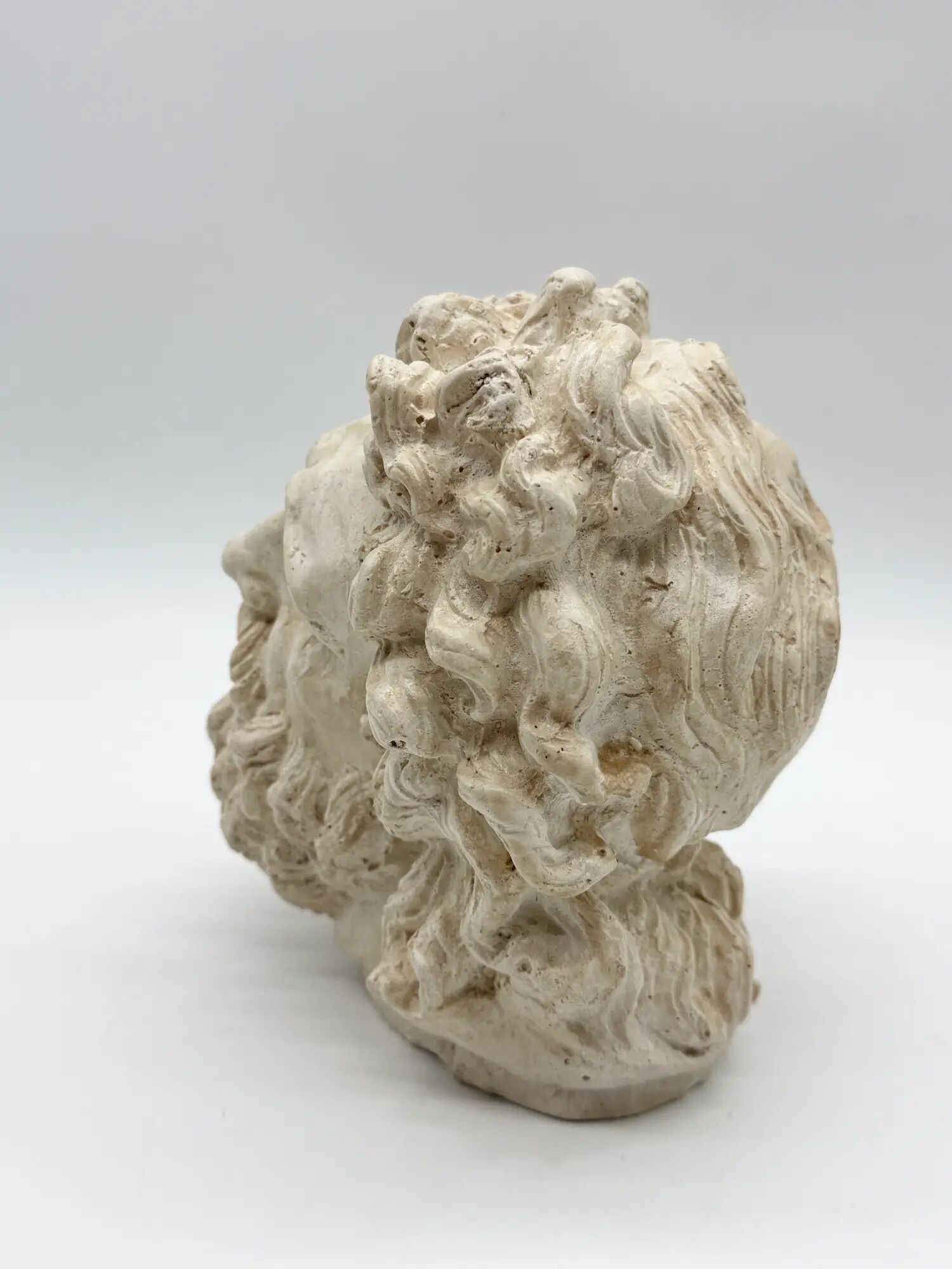 "Head of Laocoön" in plaster, contemporary reproduction, 20th century