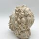 "Head of Laocoön" in plaster, contemporary reproduction, 20th century
