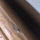 Rattan thread