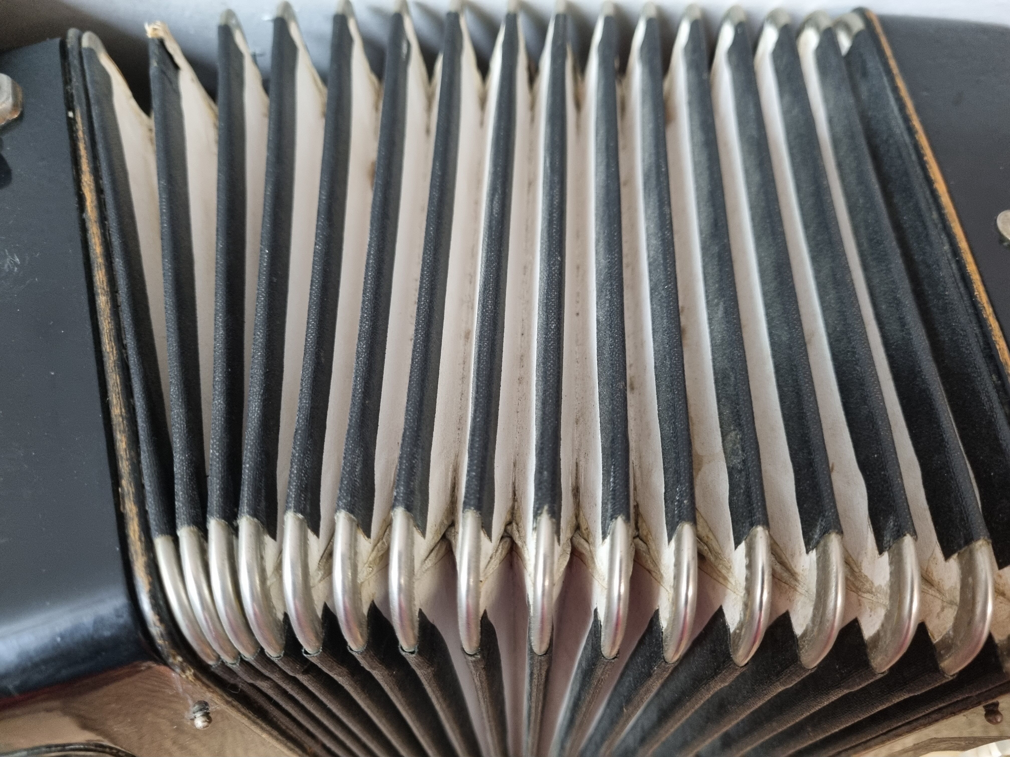 Hohner Black Student IV M Accordion