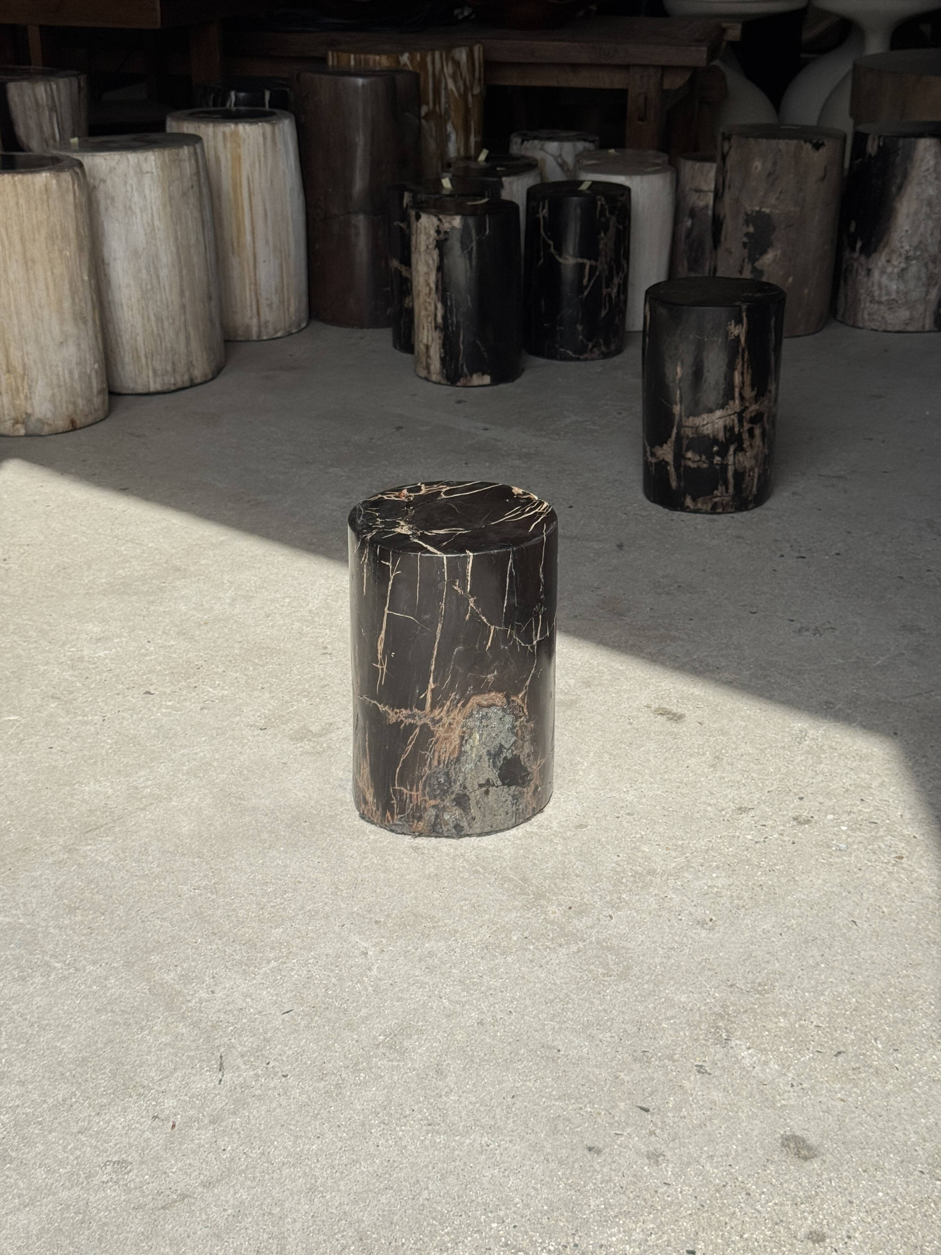 Small black petrified wood side table with beige stripes H28 D18 - 3347