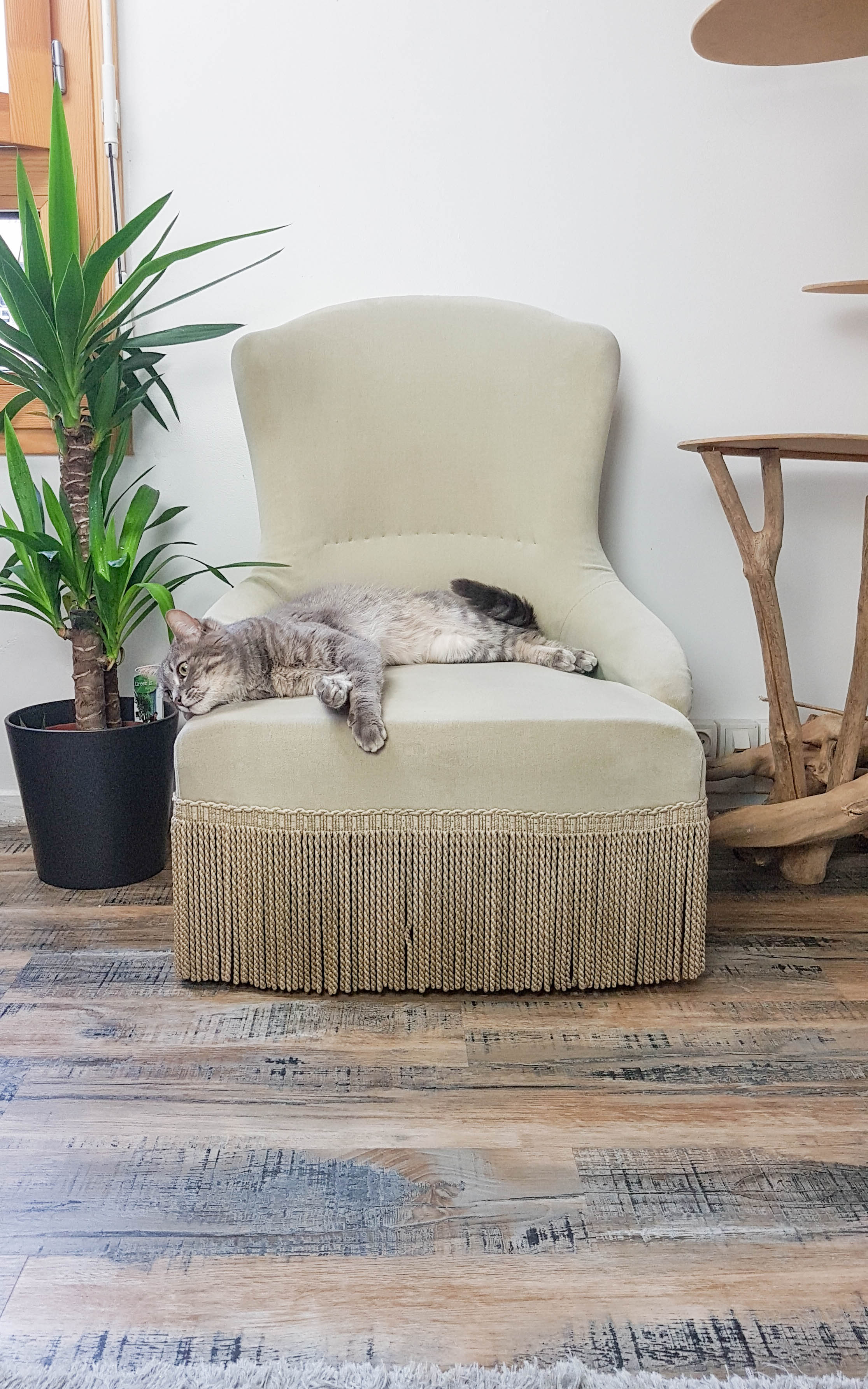 Vintage grey green almond green velvet toad chair