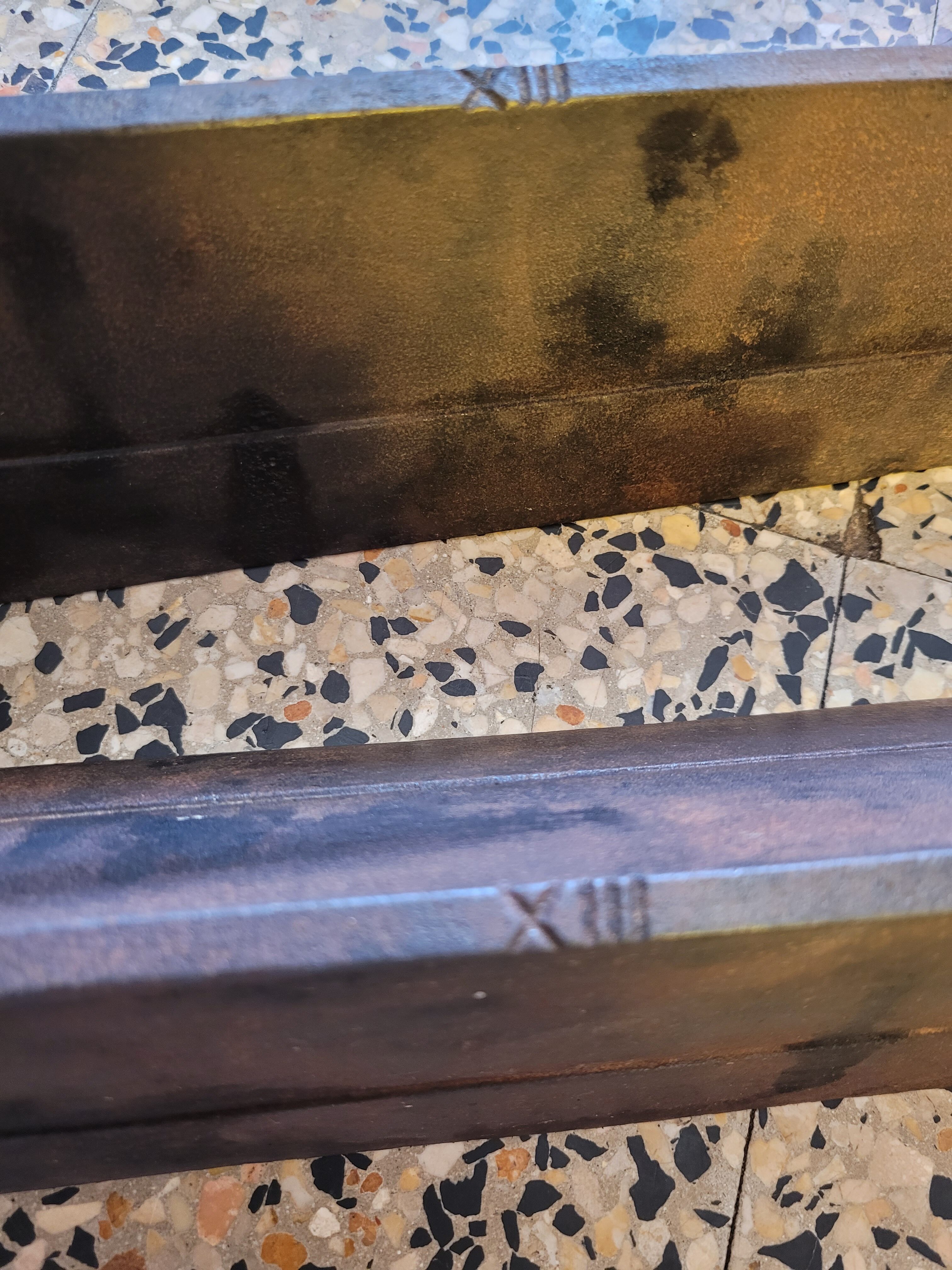 Beautiful pair of caterpillars