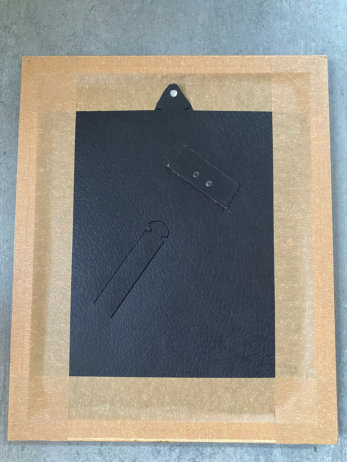 Fir botanical poster