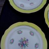 10 flat plates model graziella sarreguemines & digoin