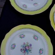 10 assiettes plates modèle graziella sarreguemines & digoin