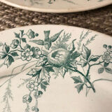 4 plates iron earth Linnet with birds
