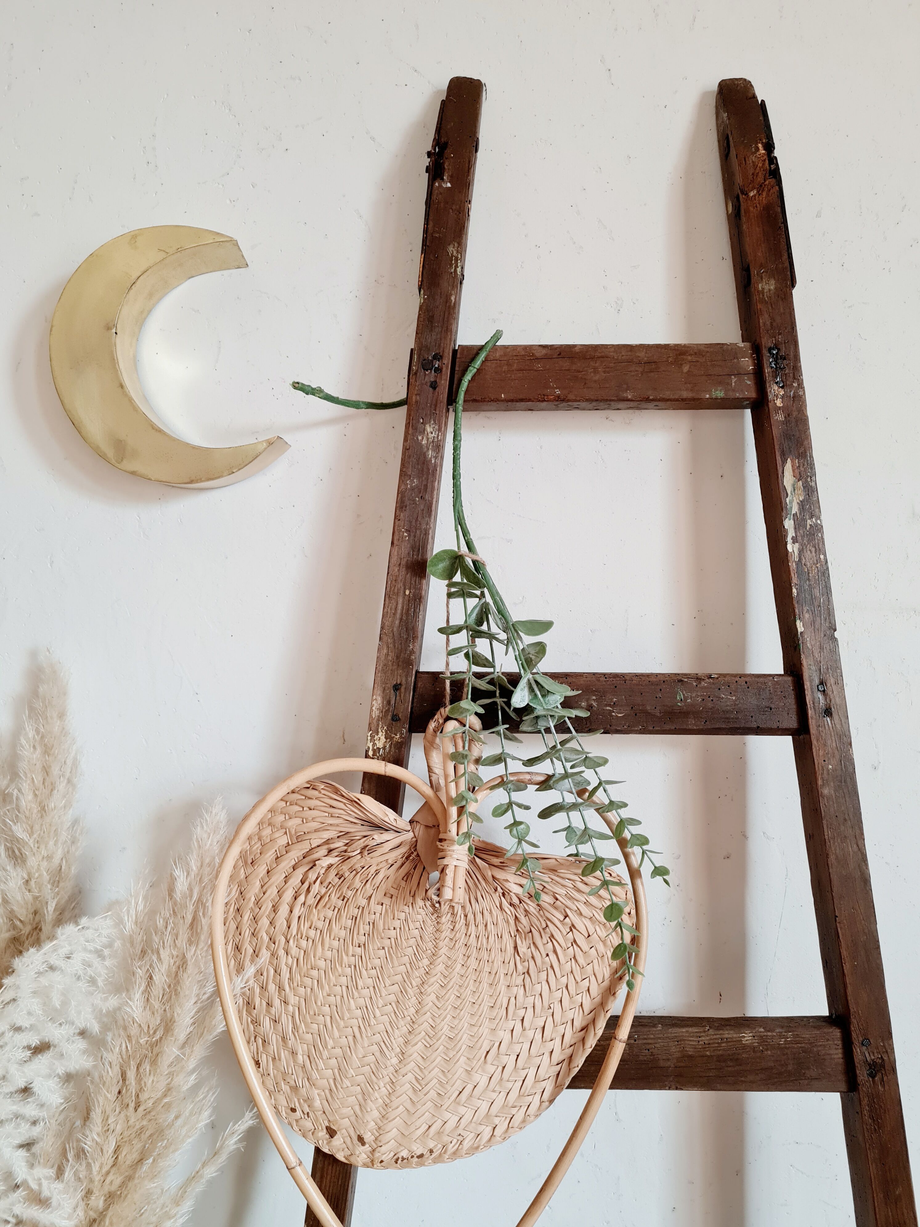 Old wooden farm ladder