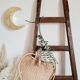 Old wooden farm ladder