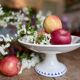 Compote dish or antique footed plate in ironstone - Laval -