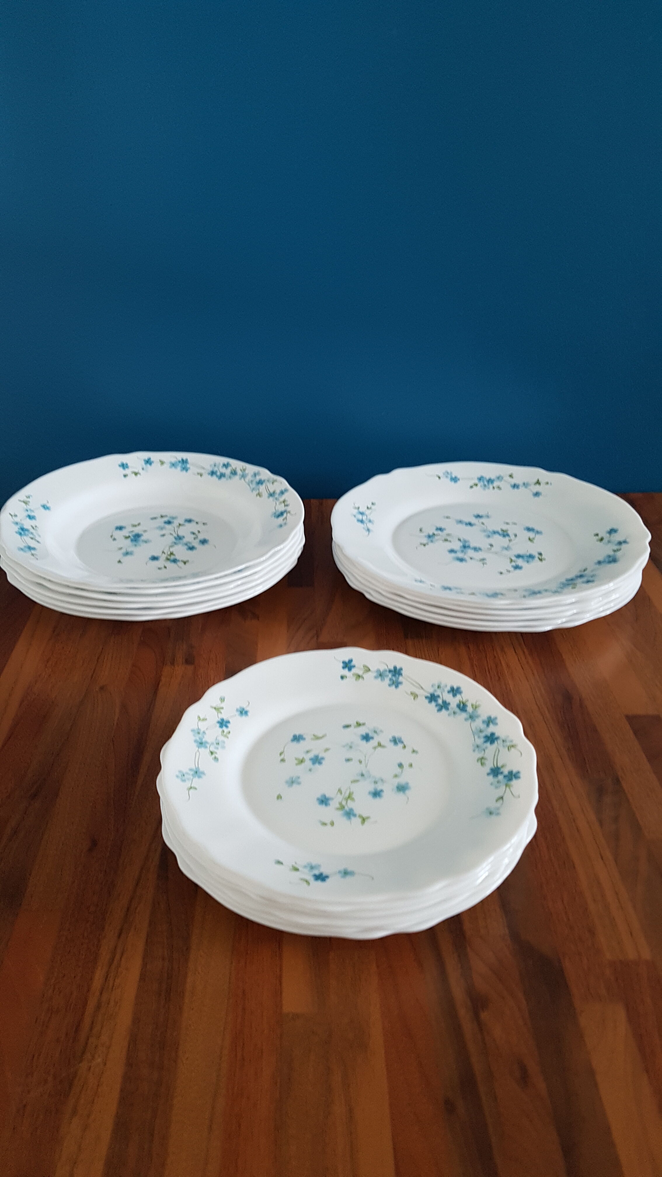 6 hollow plates arcopal myosotis veronica